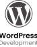 WordPress Development